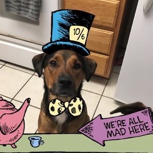 Meet your Posher, Kirstie